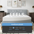 12” EcoCore Hybrid Deluxe Medium Plush Mattress