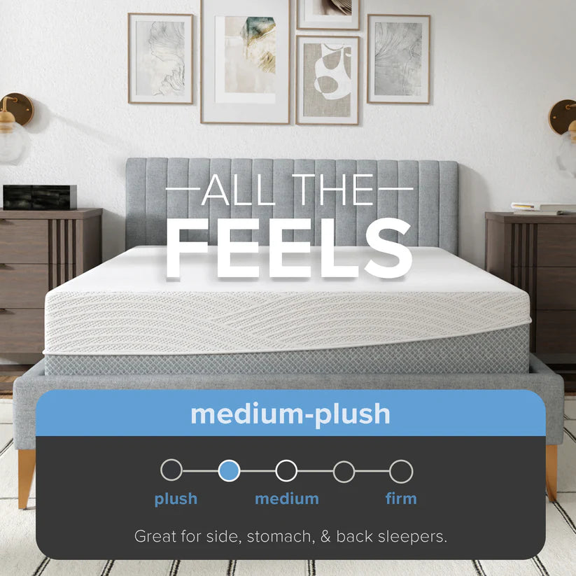 12” EcoCore Hybrid Deluxe Medium Plush Mattress