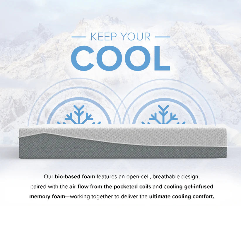 12” EcoCore Hybrid Deluxe Medium Plush Mattress