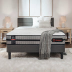 Comfort Series 10" Mattress